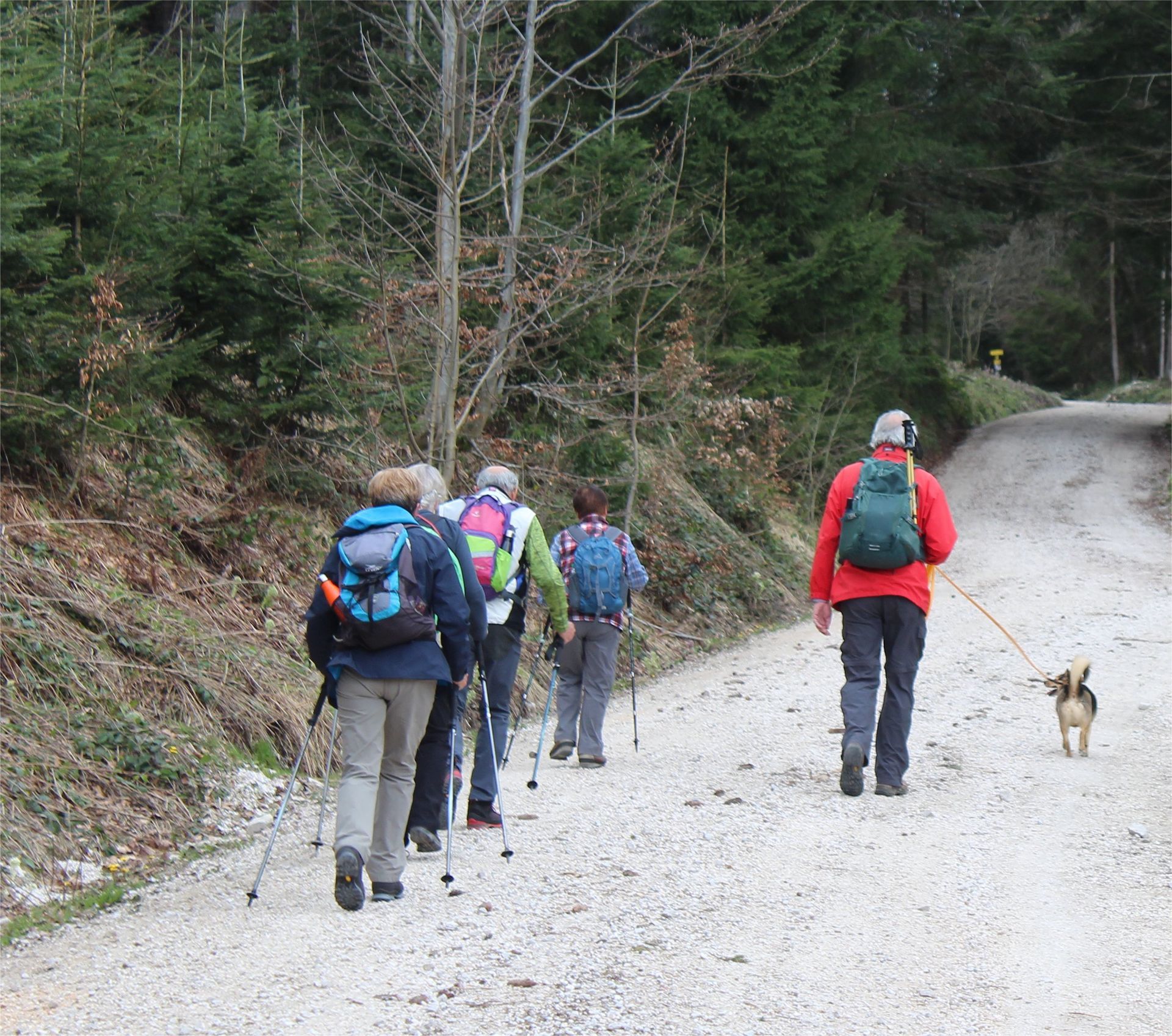 Aufstieg über die Forststraße