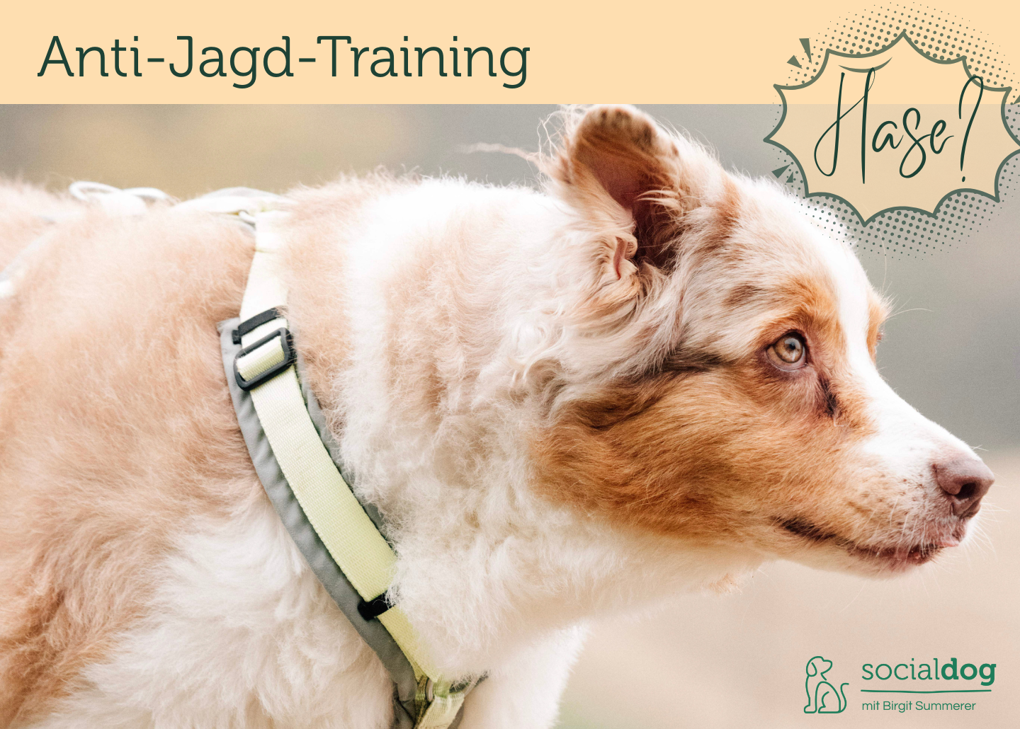 Anti-Jagd-Training Theorie & Praxisworkshop