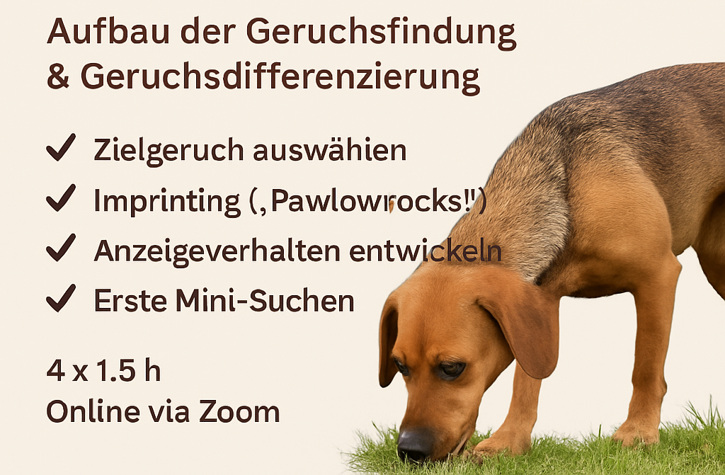 Online-Kurs Find it! Meine Spürnase! Teil 1