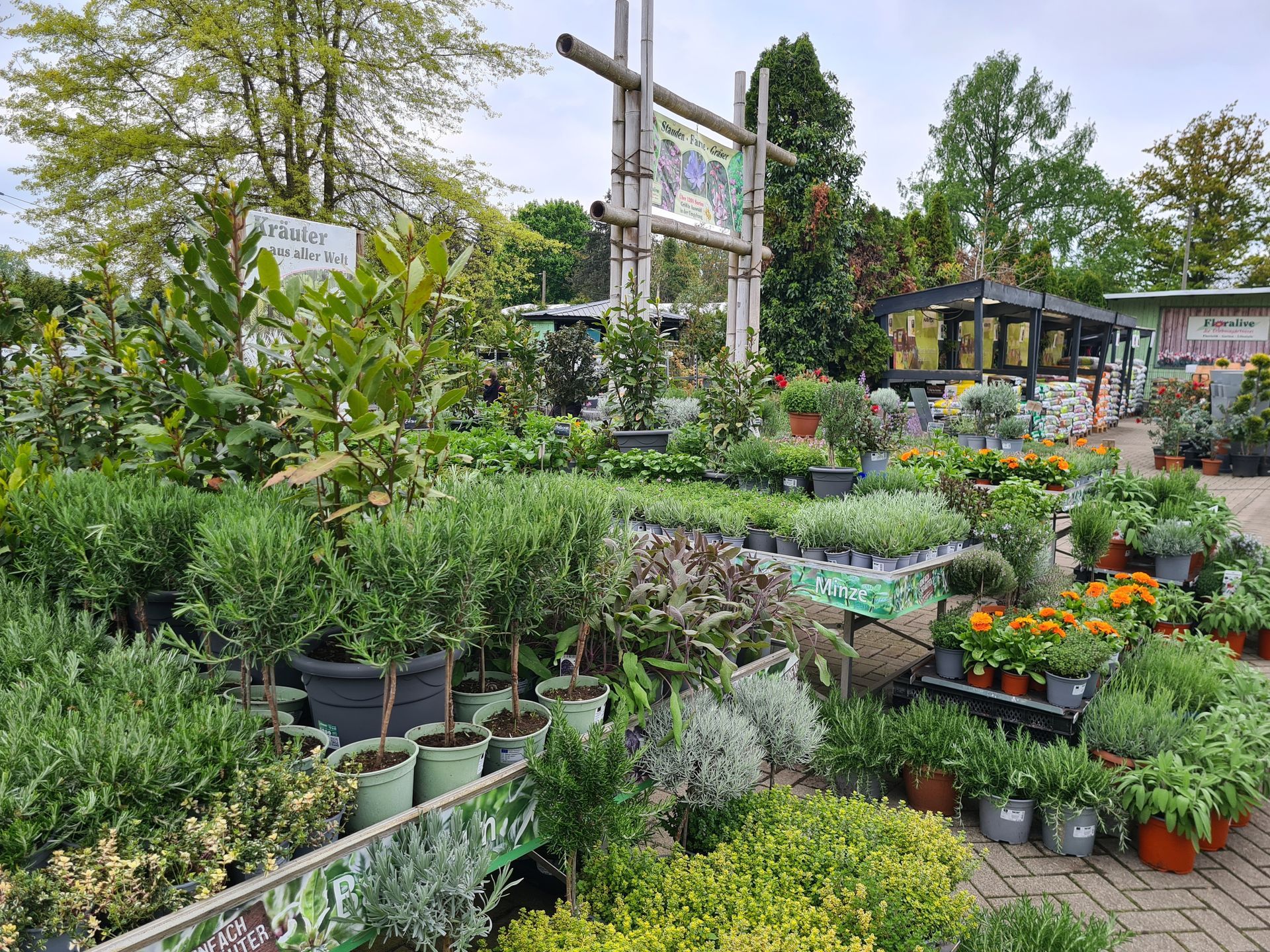 Kräuter aus aller Welt