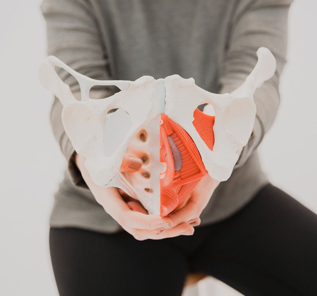 Dr Joy is holding a pelvis model