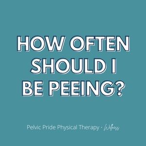 Let's discuss how often you should be peeing, if you are going too much or not enough. 
