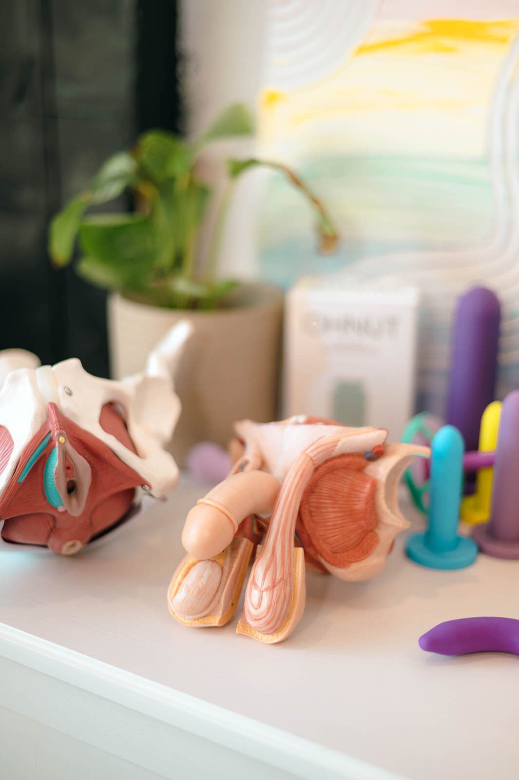 Pelvic Floor Therapy Pelvic floor physical therapy clinic Baltimore Maryland