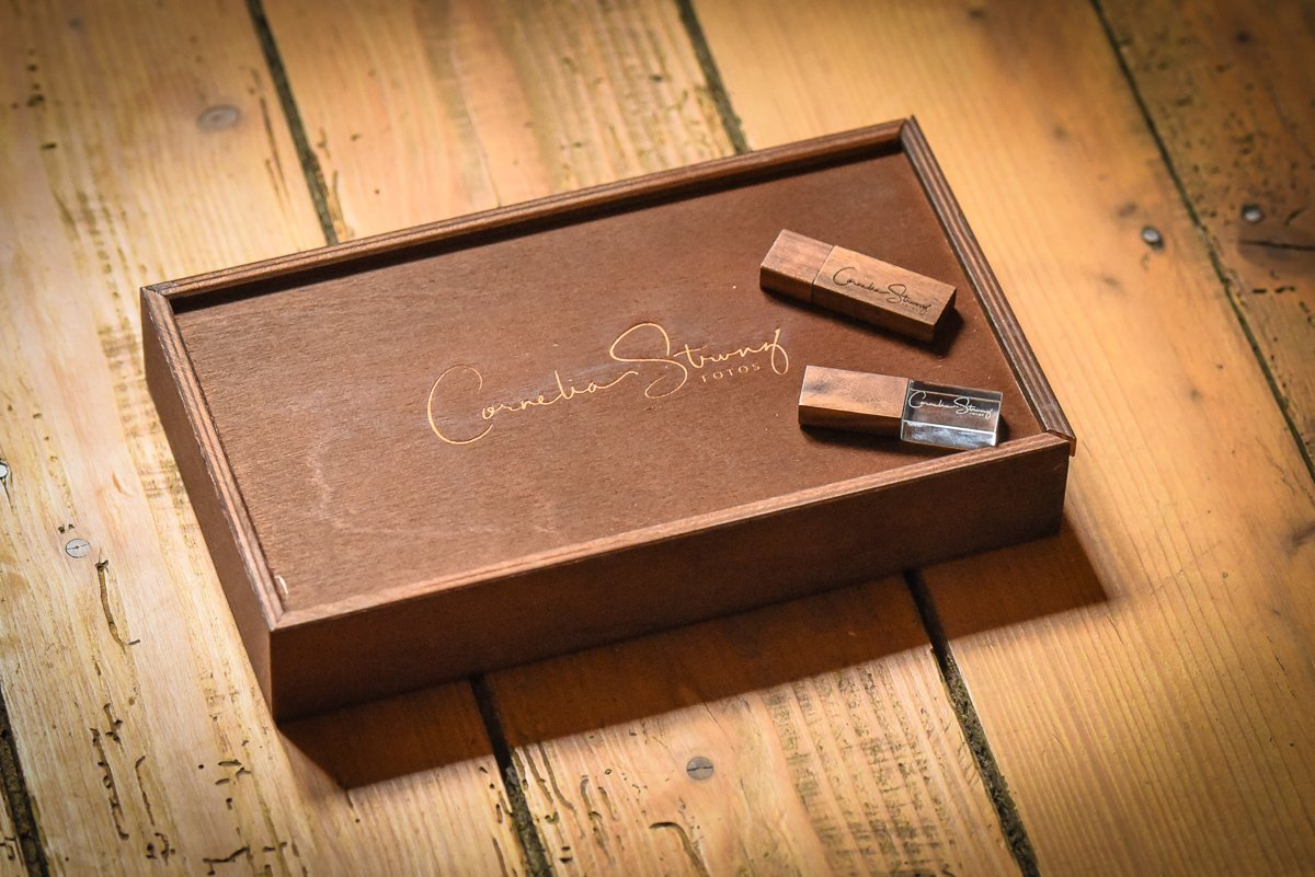 Labrador Hundefotografie