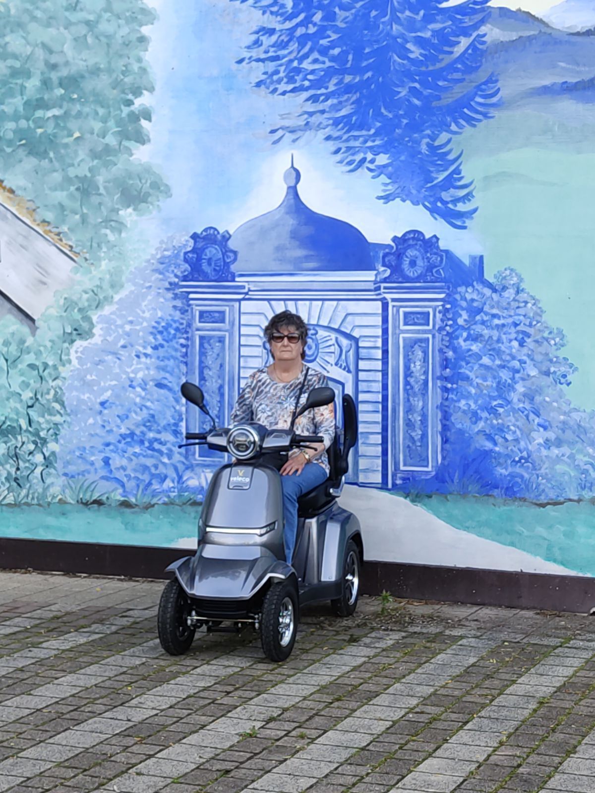 NOS CLIENTS SATISFAITS EN SCOOTER ÉLECTRIQUE Photo des scooters prise au plan incliné d'Artillerie en Moselle. NOS CLIENTS SATISFAITS EN SCOOTER ÉLECTRIQUE
Photo des scooters prise au plan incliné d'Artillerie en Moselle.