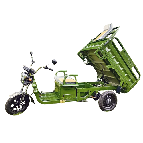 TRIPORTEUR ELECTRIQUE UTILITAIRE CARGO 500