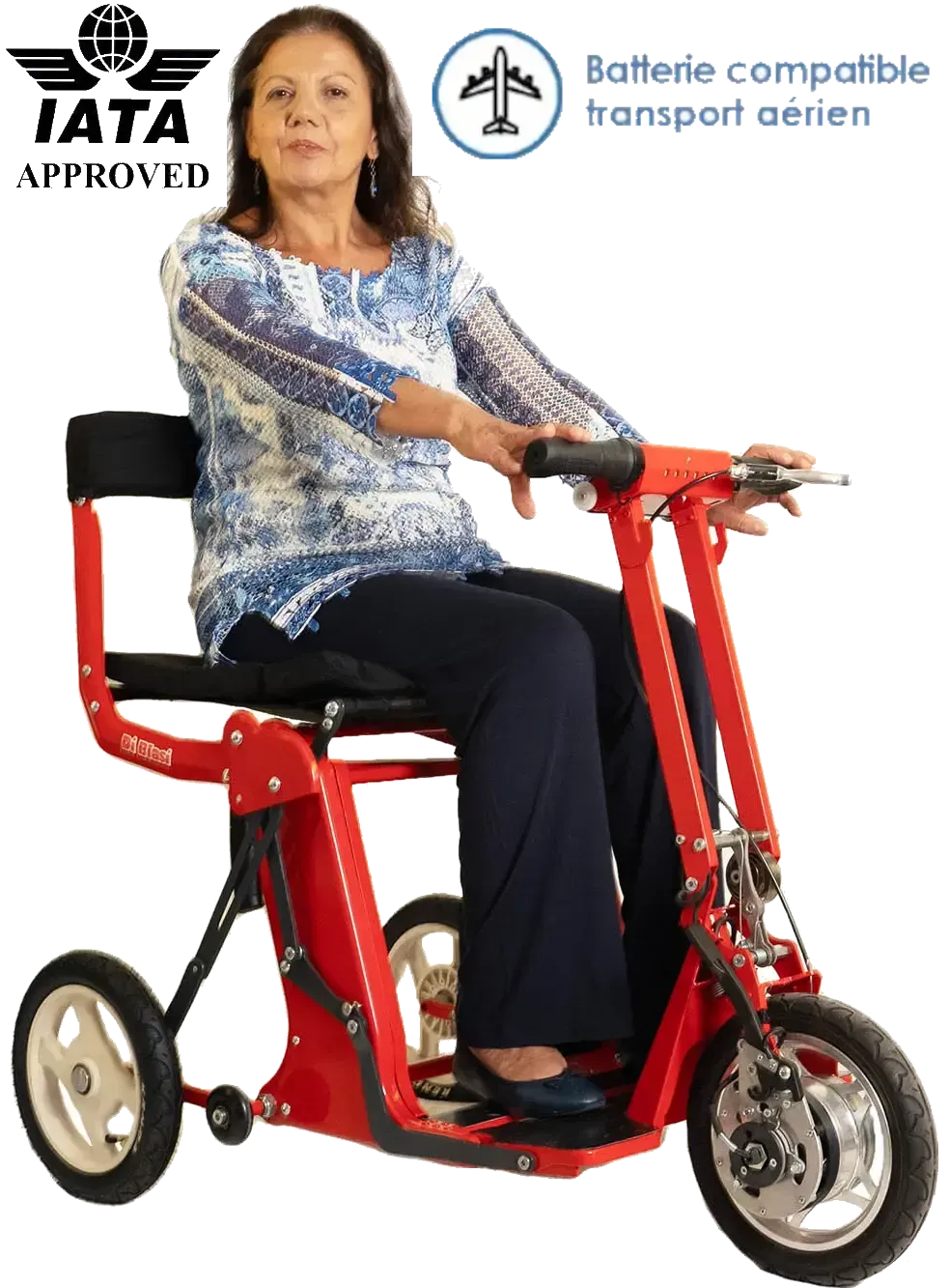 Scooter DiB Scooter électrique Pliant DI BLASI R30