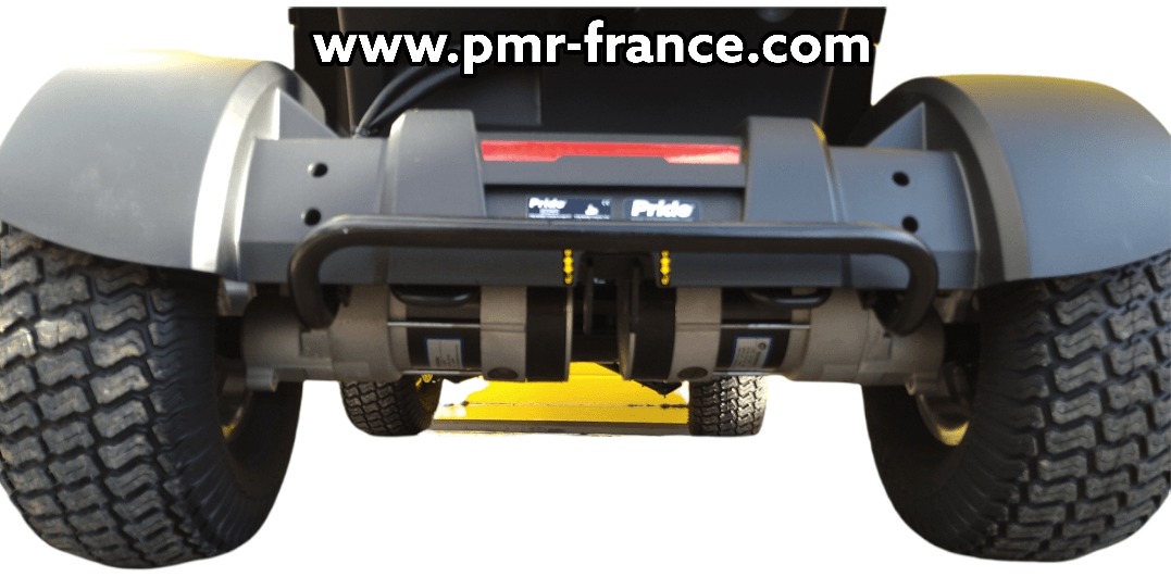 Explorez le scooter électrique tout terrain RANGER WRANGLER 2 BAJA PRIDE pour une mobilité améliorée et une expérience sans limite