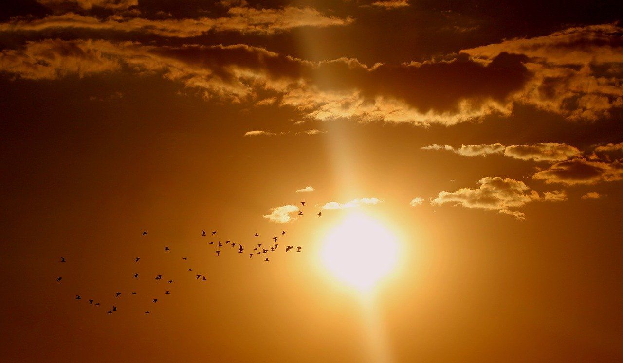 Chauffage solaire : équipement, autorisation, et aides au financement sd-expertises-expert-batiment-77-chauffage-solaire-guide