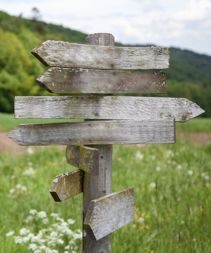 Kreativtherapie, kreative Therapie, Vertiefung, Seminar, Fachfortbildung, Lösungen, Berlin