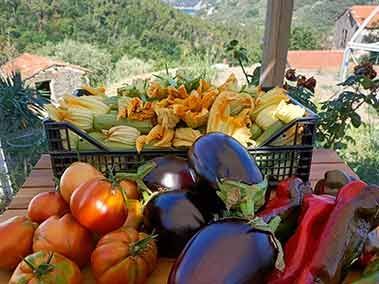 I nostri ortaggi genuini