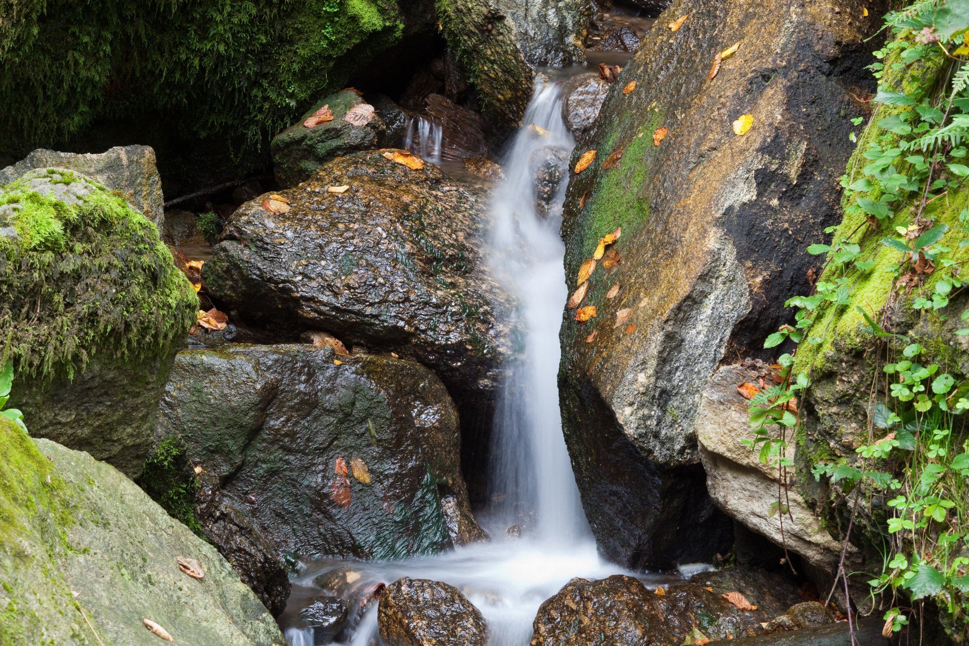 Kleiner Wasserfall in Bach