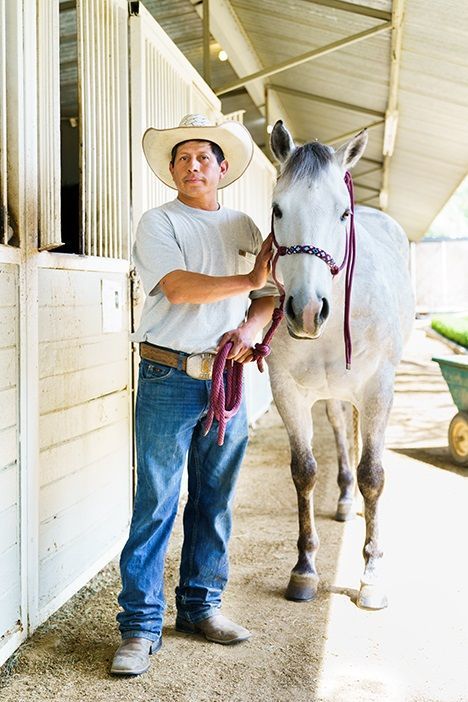 Man in cowboy hat and jeans stands next to a white horse with a colorful bridle in a barn.