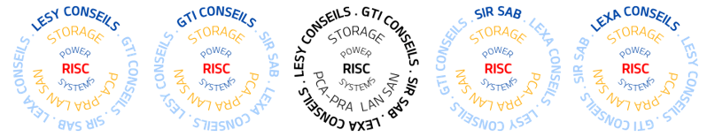 LESY CONSEILS-logo