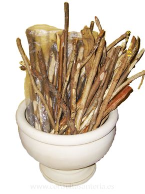 palo monte amarre rapido