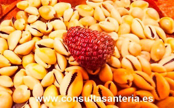 adivinación ifa CEREMONIA DE LETRA DEL AÑO 2023