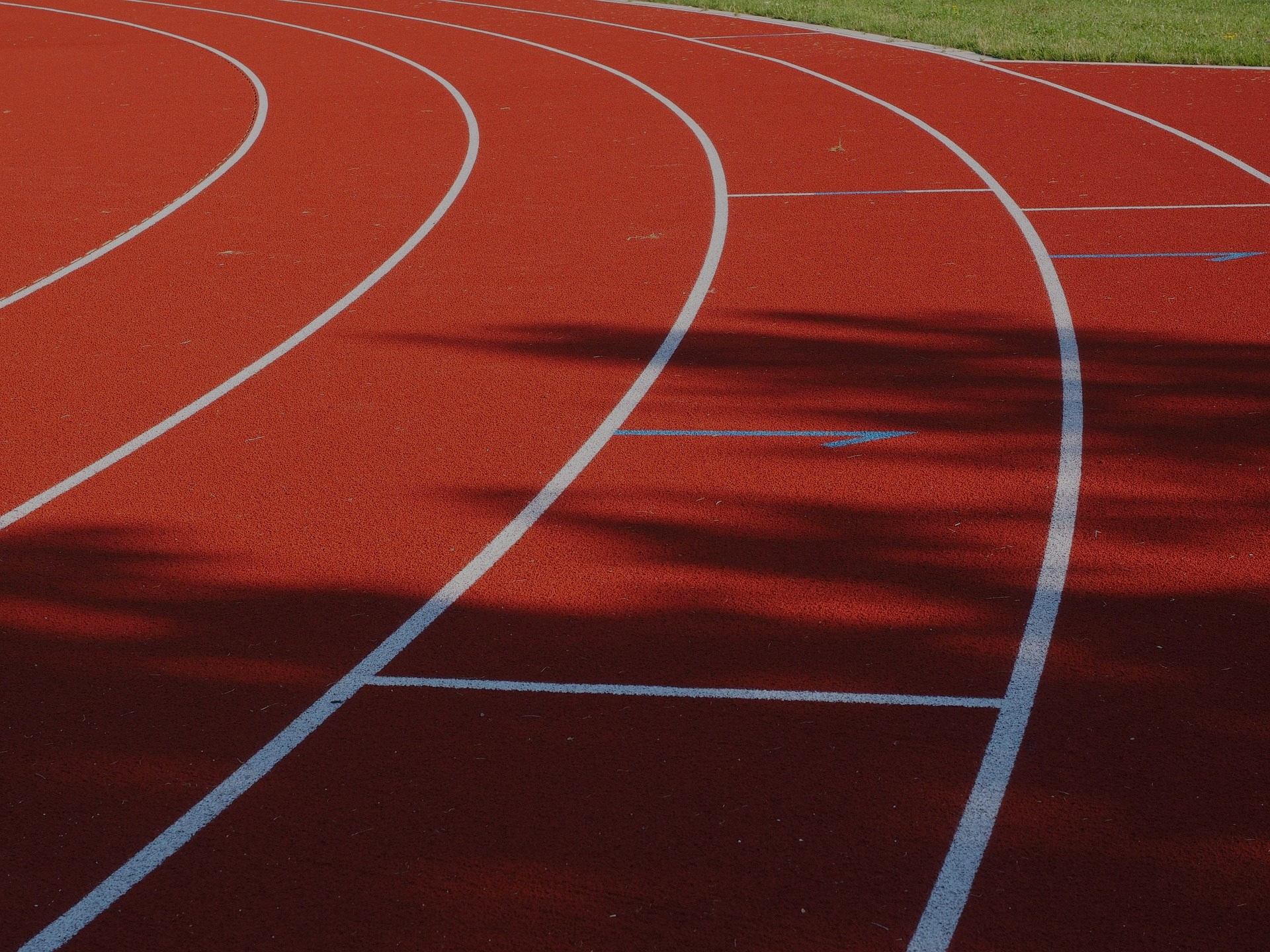 Bewerbung BKA, Einstellungstest BKA, Eignungstest Bundeskriminalamt, Auswahlverfahren BKA, Ausbildung Kriminalkommissar Bund, Coaching BKA Test, Vorbereitung, Eignungstest, Sporttest