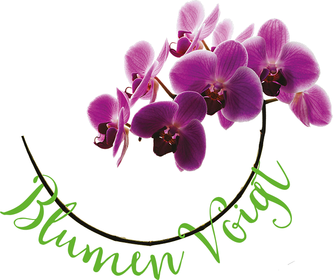 Blumen Voigt