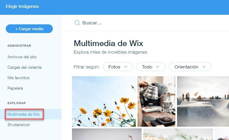 paginas wix ejemplos 2024