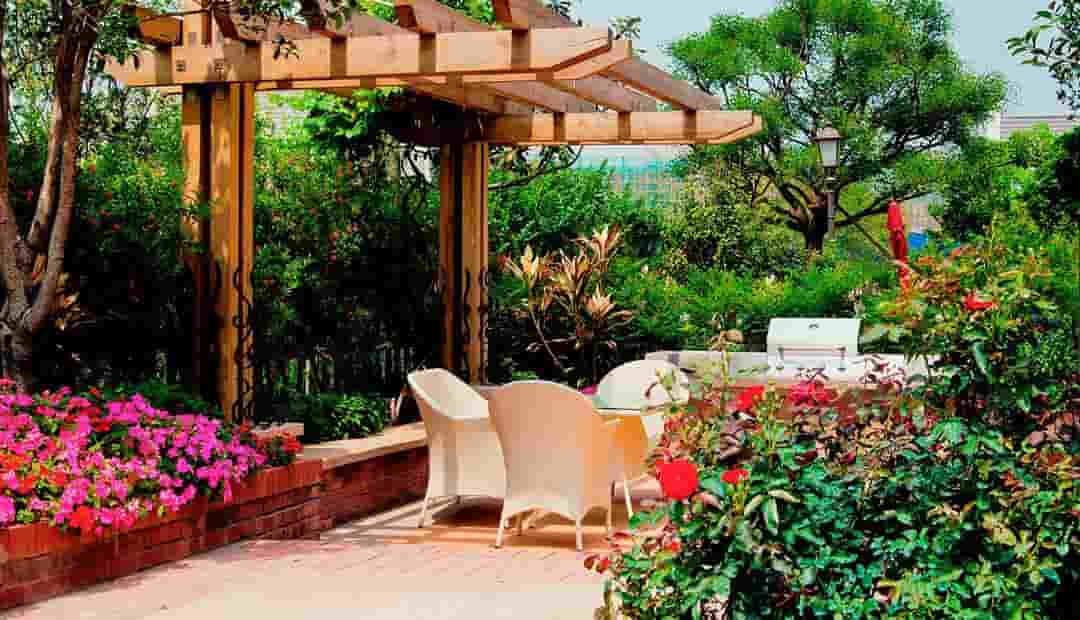 plantas naturales para terrazas