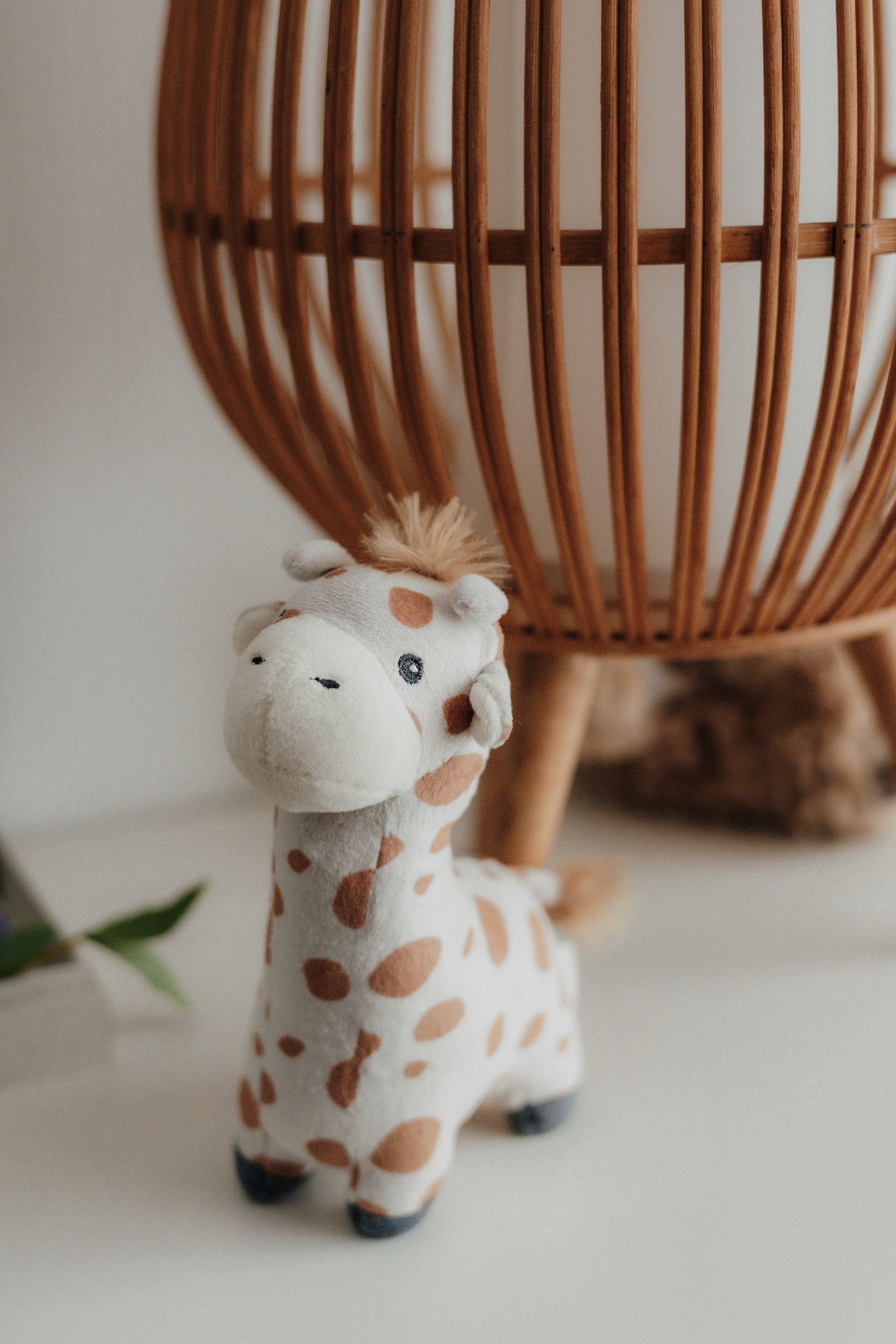 Stofftier Babyfotostudio Soest