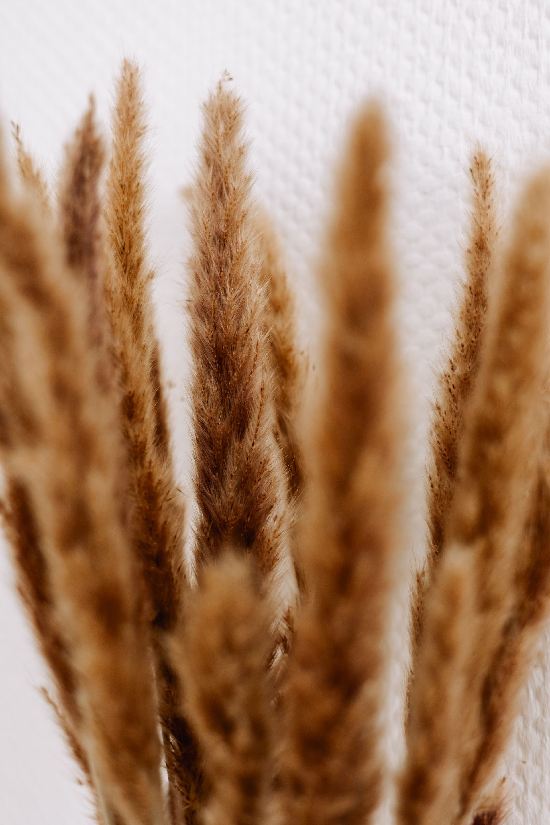 Boho Babyfotostudio Soest