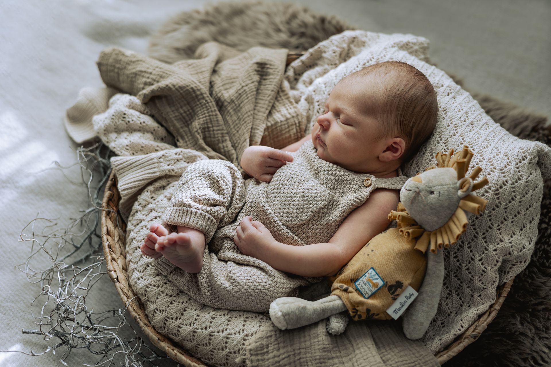 Neugeborenes mit Löwe Babyfotograf Soest