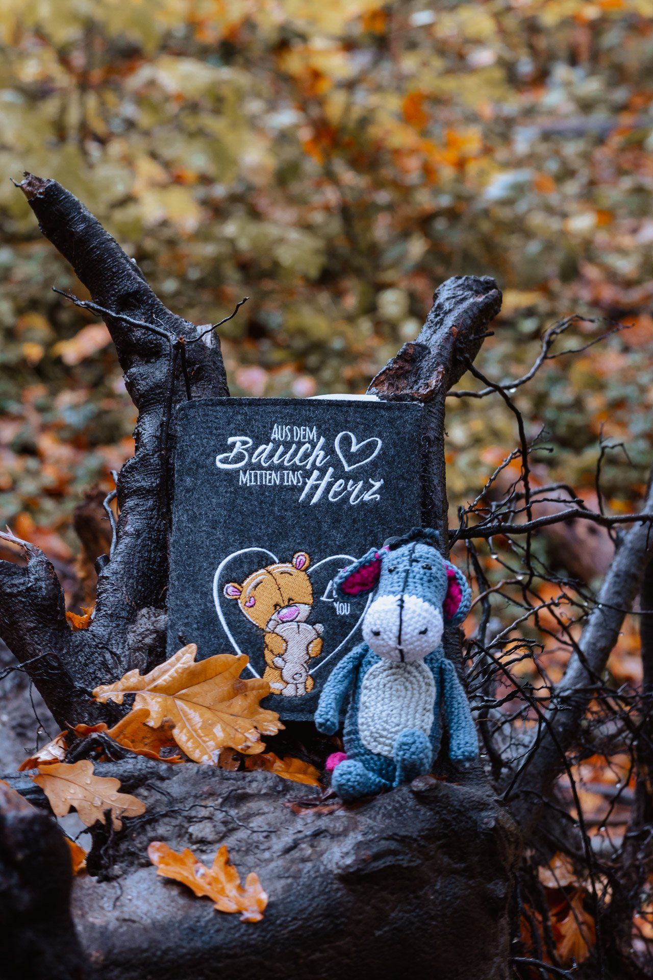 Mutterpasshülle Soest