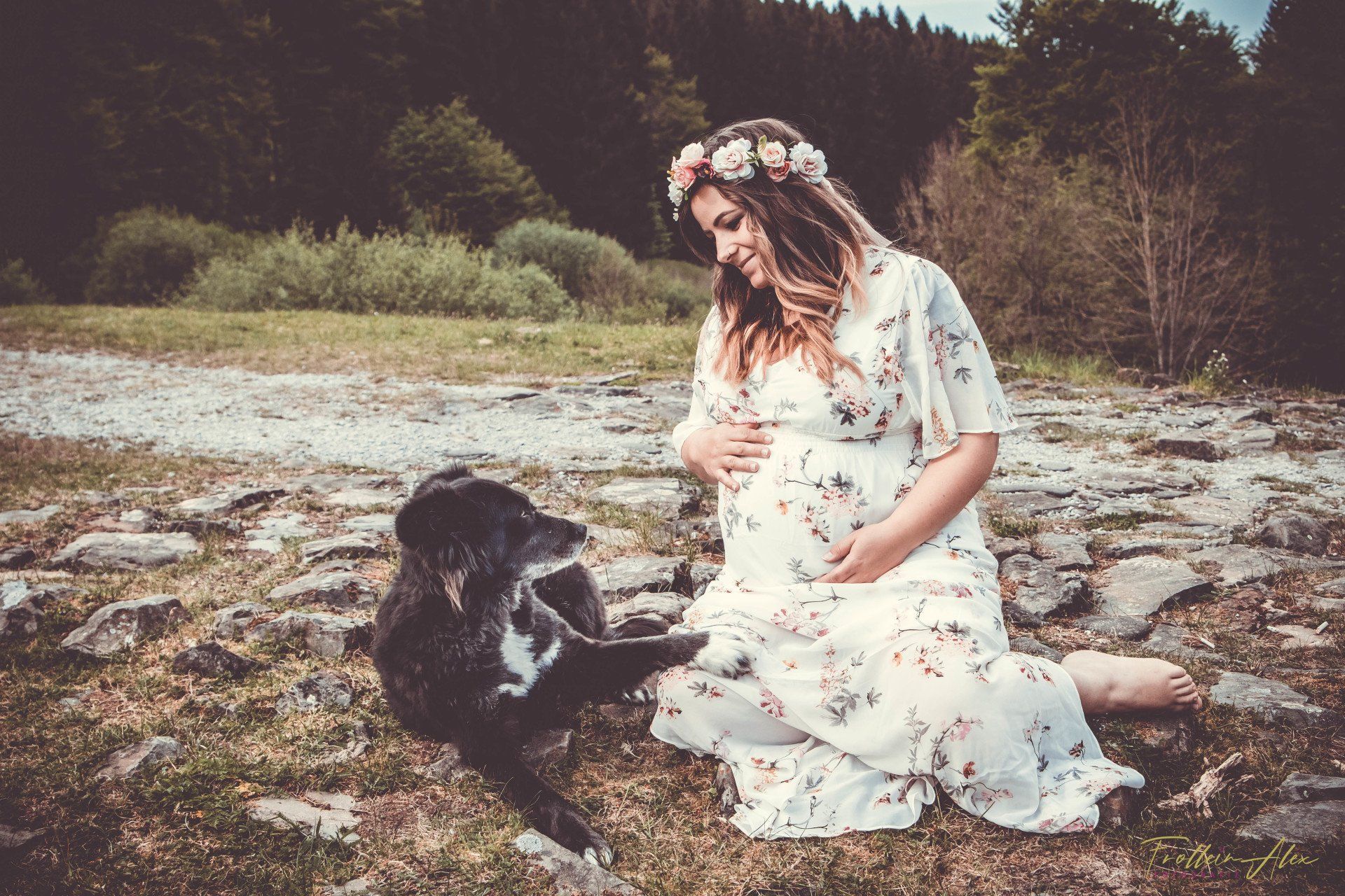 Familienhund Lilly als Beschützer in der Schwangerschaft