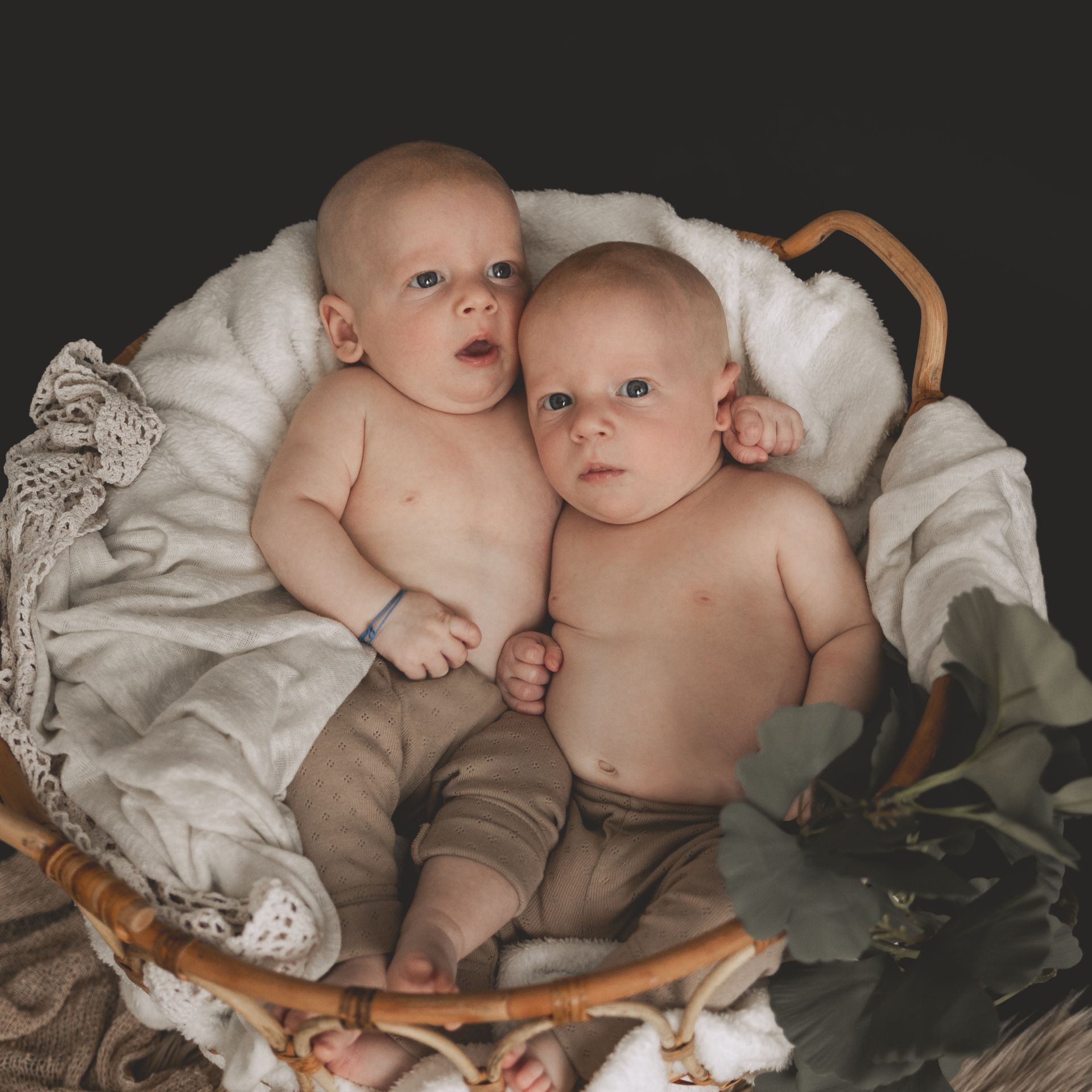 Zwillinge im Korb Babyfotostudio Soest