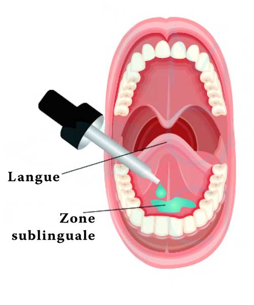 Zone sublinguale Zone sublinguale