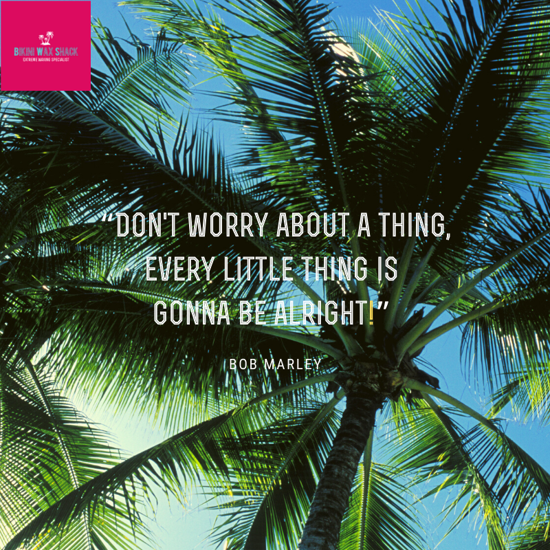 Palm tress with slogan 'Don't worry about a thing every little thing is gonna be alright