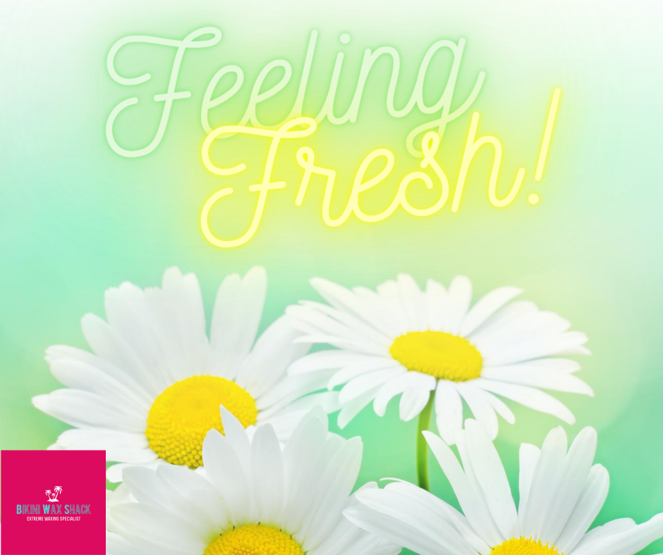 Image of daisies with the slogan feeling fresh
