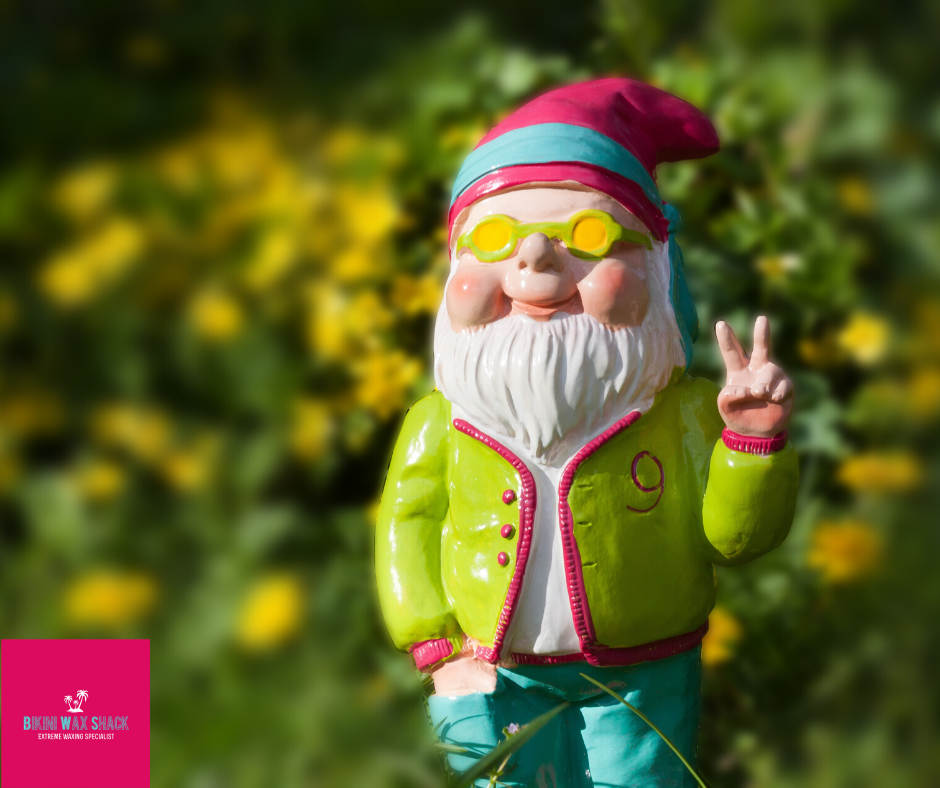 Bikini Wax Shack Bearded Gnome