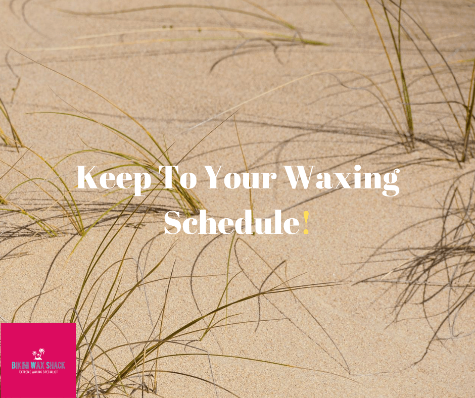 Sparse grass in sand with the slogan keep to your waxing schedule