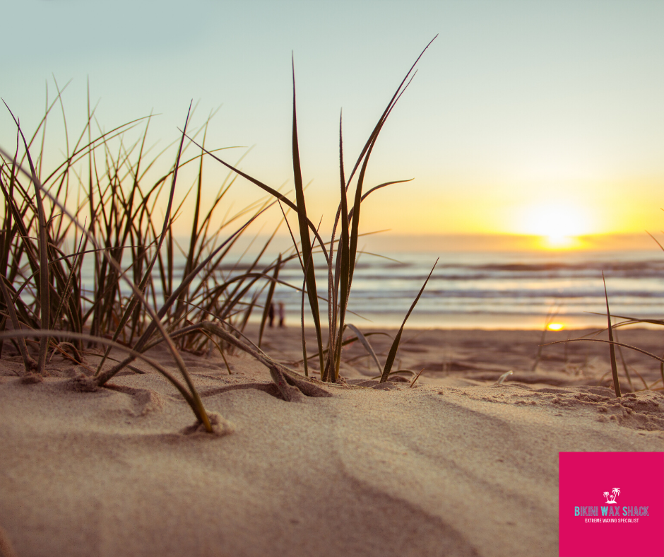 Beach wild grass