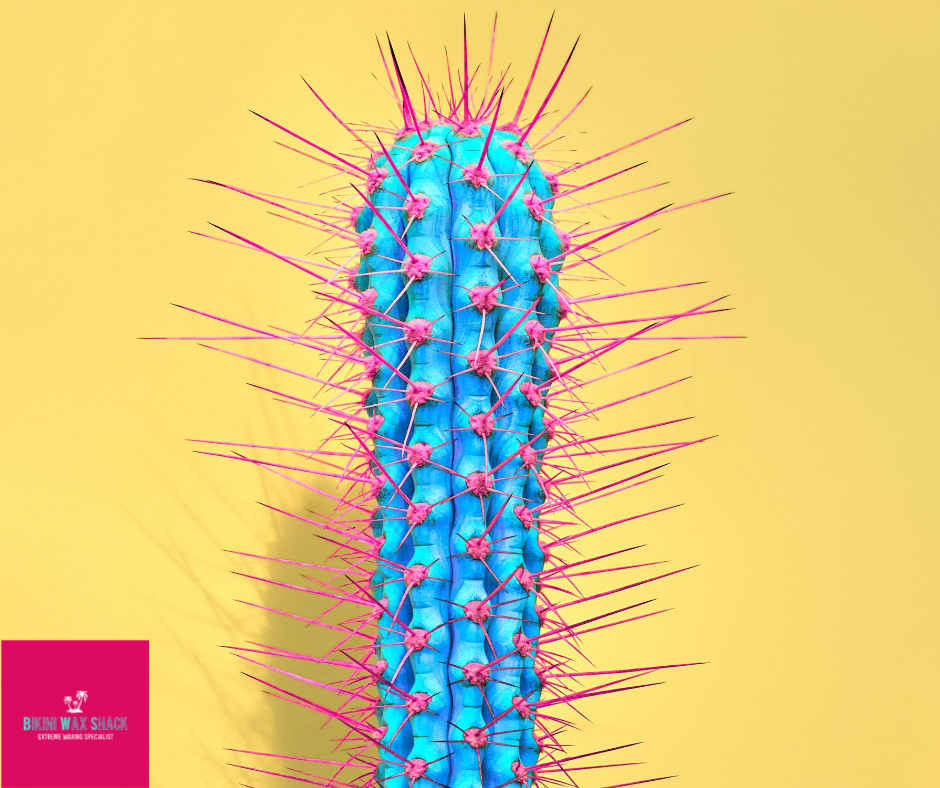 blue cactus with pink spikes on a yellow background