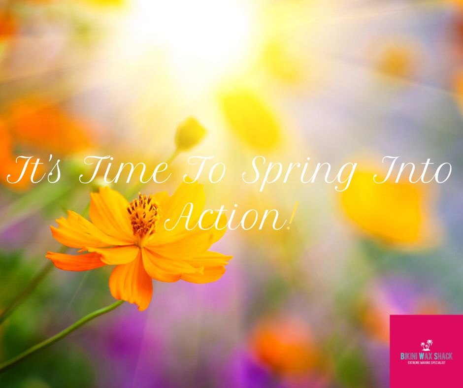 Bikini Wax Shack - It's time to spring into action. Spring flowers with sunburst
