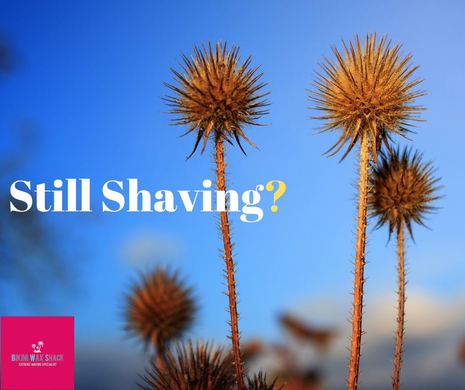 Bikini Wax Shack Still Shaving?