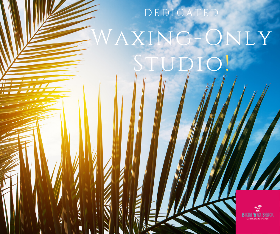 Sun shining through palm leaves