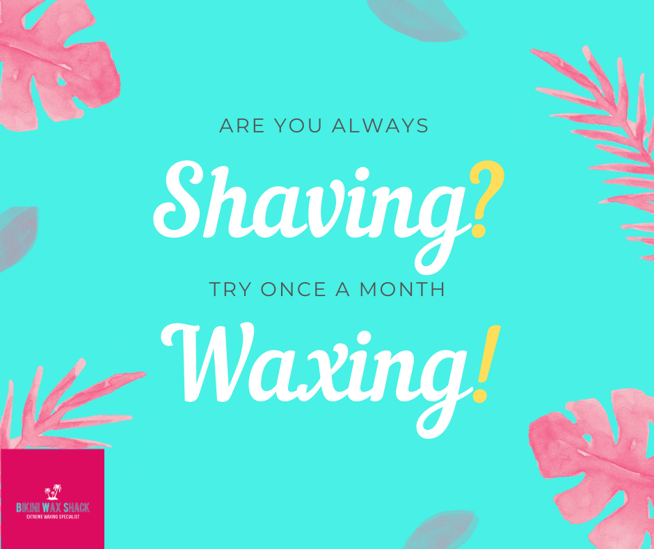 Bikini Wax shack - Shave or Wax