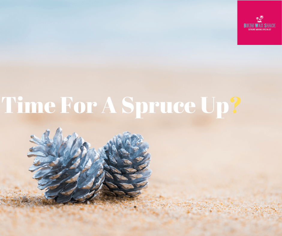 2 pine cones on a beach with the slogan time for a spruce up?