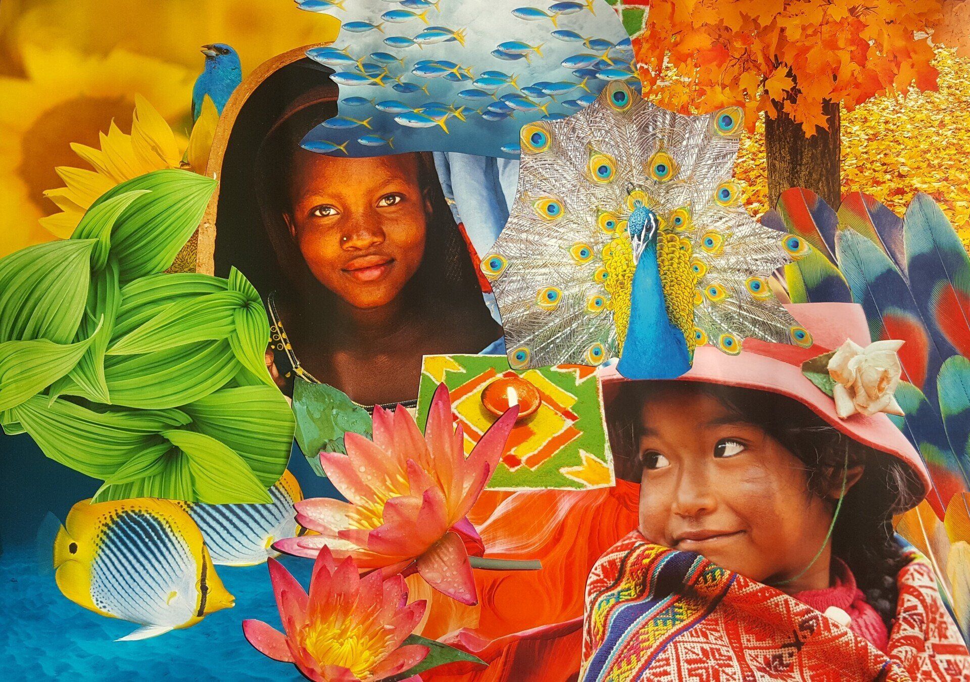 Erd Charta Erd Charta