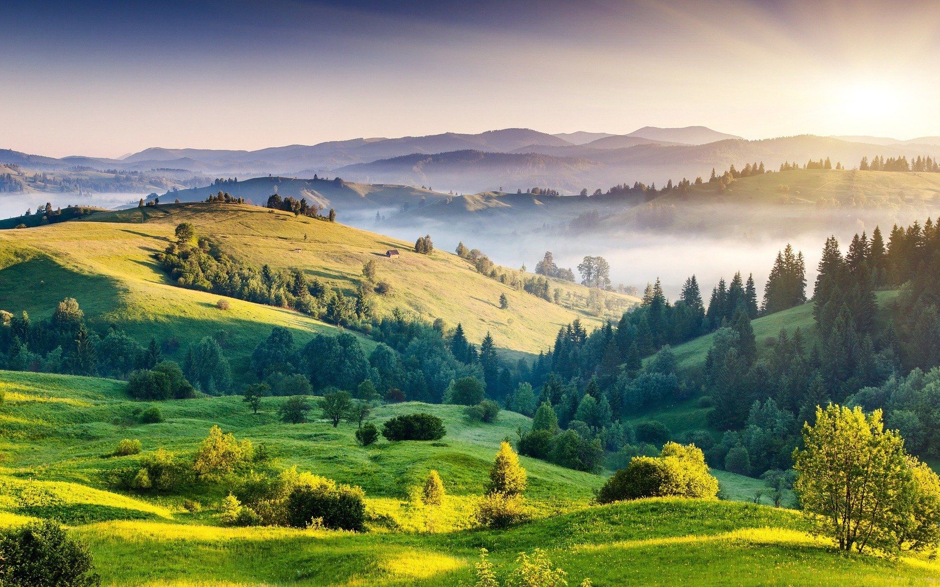 NaturErlebnisPilgern NaturErlebnisPilgern