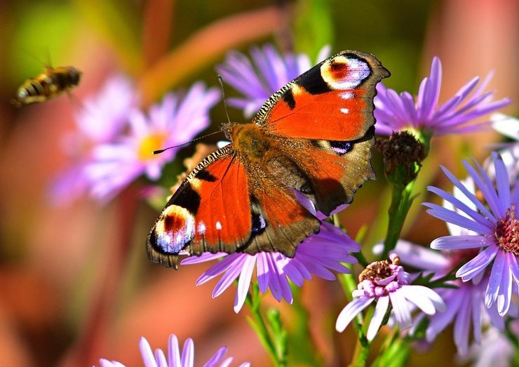 Verwandlung / Beschenkt durch jeden neuen Tag ... Verwandlung / Beschenkt durch jeden neuen Tag ...