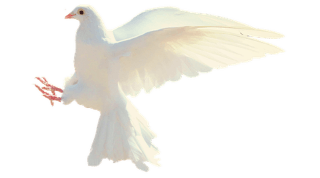 Frieden im Innen wie im Außen ... Frieden im Innen wie im Außen ...