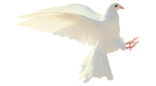 Frieden im Innen wie im Außen ... Frieden im Innen wie im Außen ...