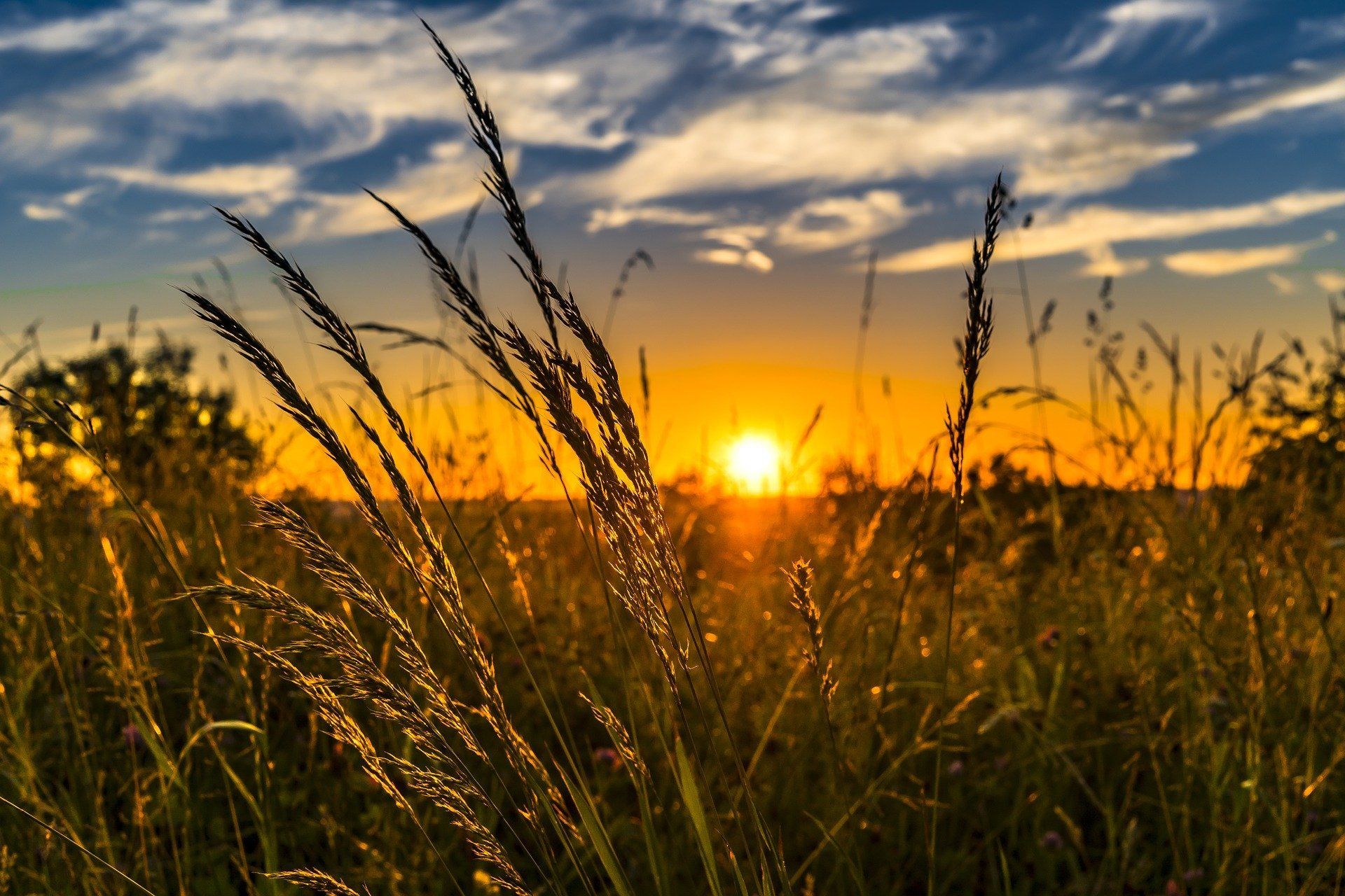 Natur Erlebnis Tag Miteinander Üben ... Freude ... Teilen ... Achtsam . Wach . Aufmerksam ...