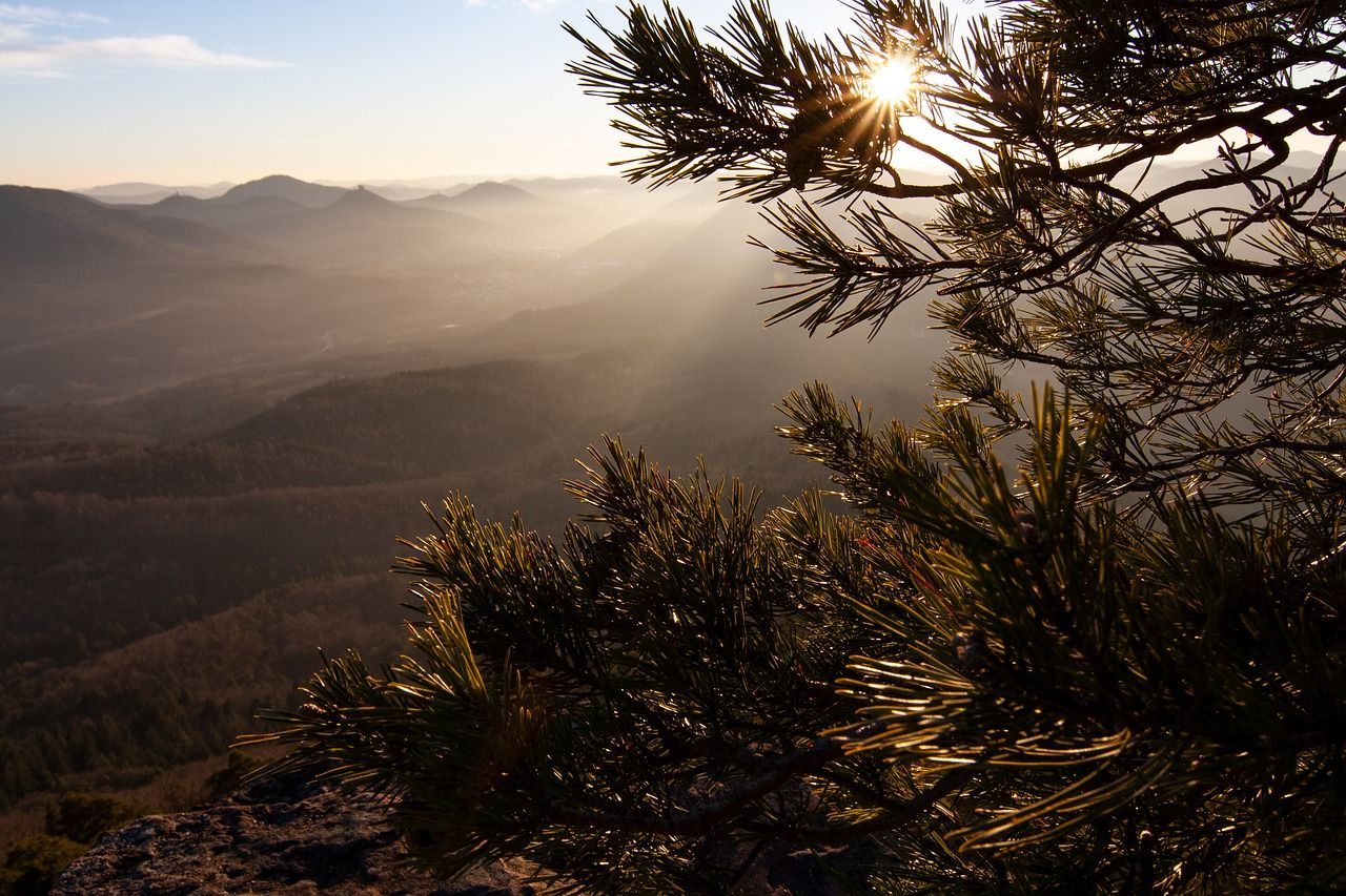 nehmen Sie sich zeit zum atmen ... Luft schmecken ... nehmen Sie sich zeit zum atmen ... Luft schmecken ...