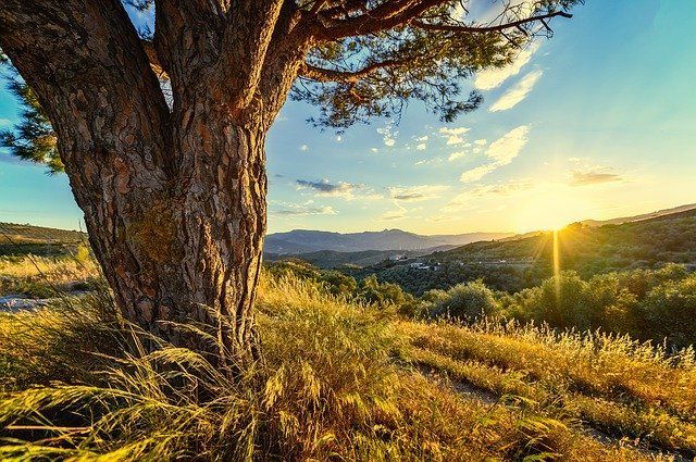 NaturErlebnisPilgern NaturErlebnisPilgern